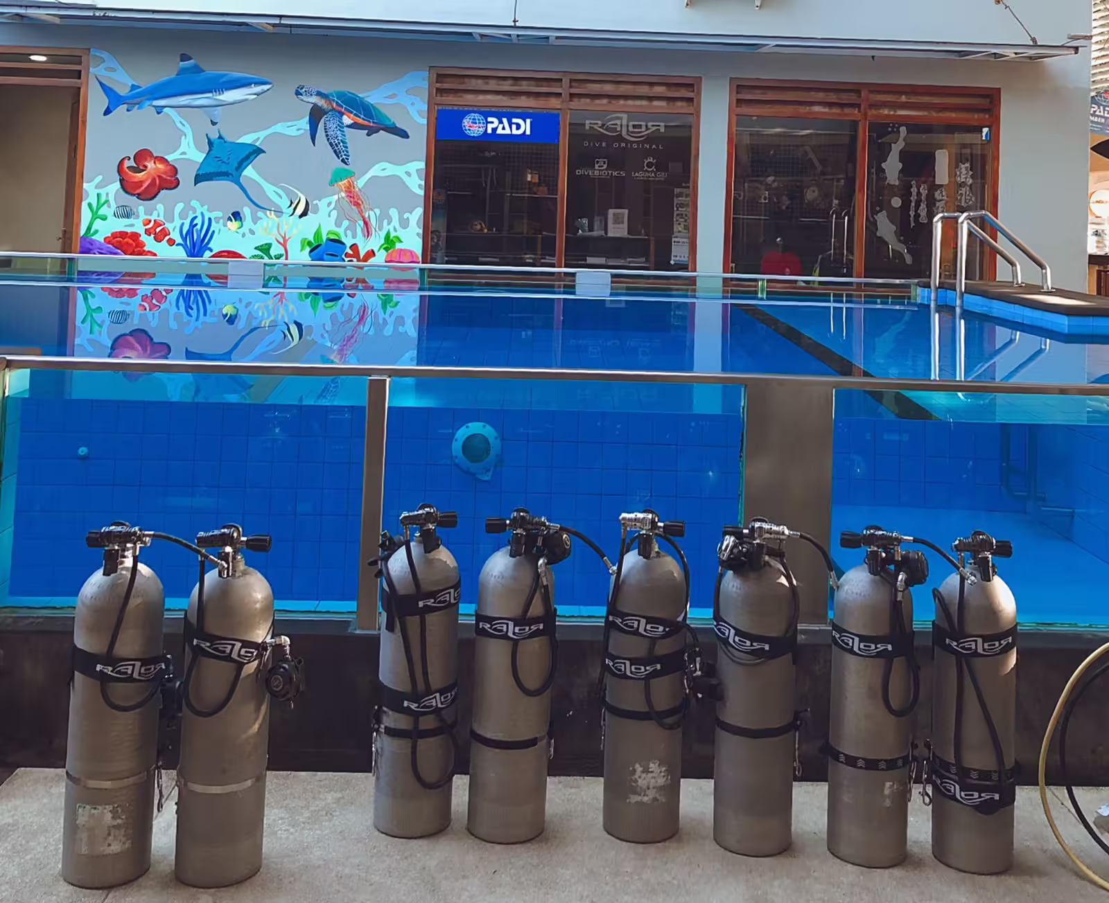 oxygen and nitrogen in scuba tanks
